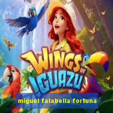 miguel falabella fortuna